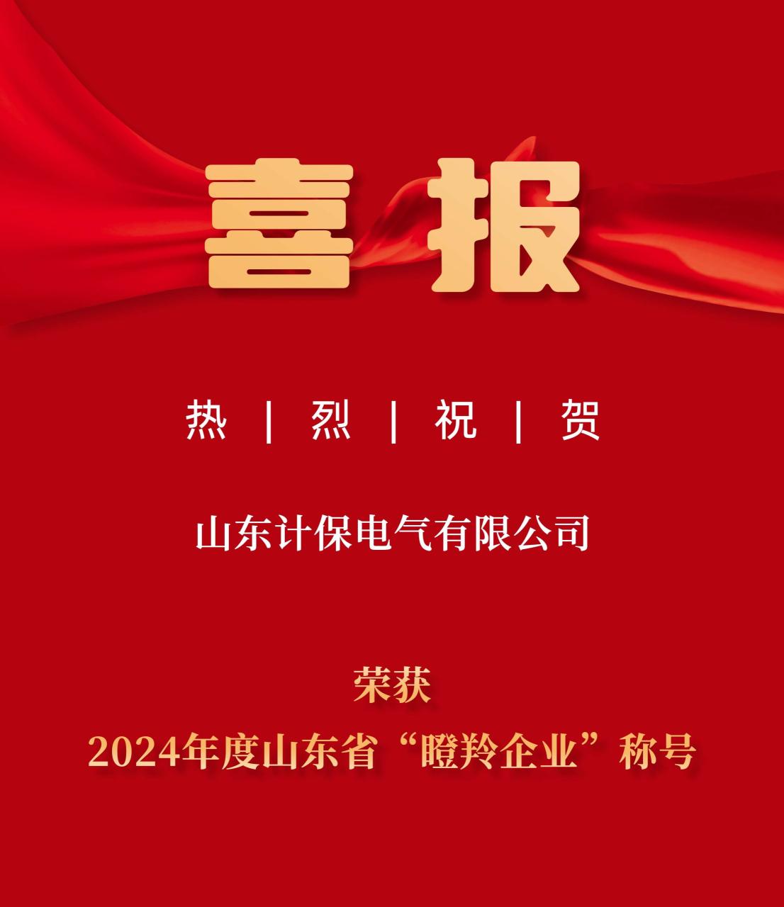山东计保电气有限公司 荣获2024年度山东省“瞪羚企业”称号